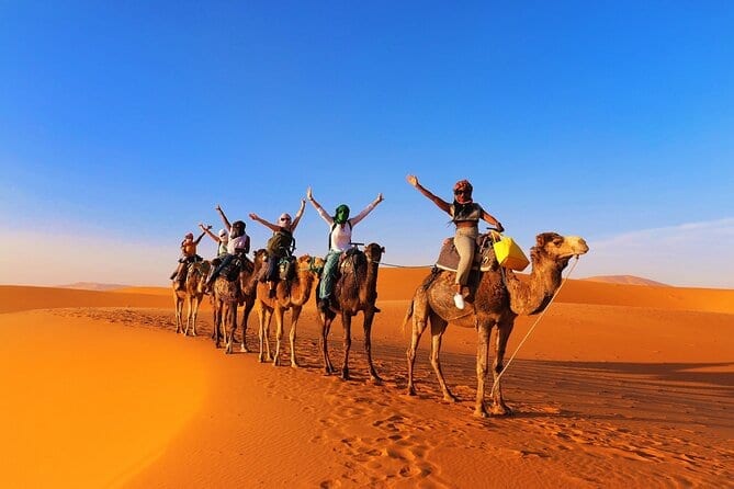 Desert Sandboarding in the Sahara activity in Sahara Desert, Algeria - image 2