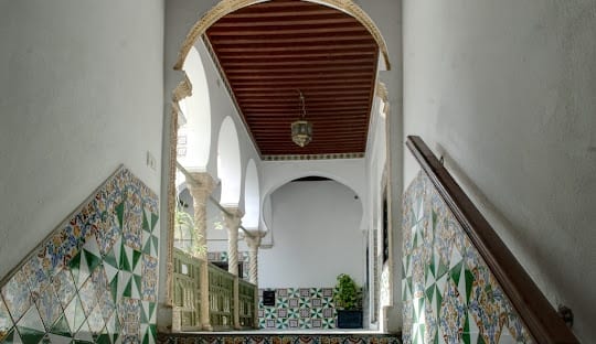 Casbah & Modern Algiers
