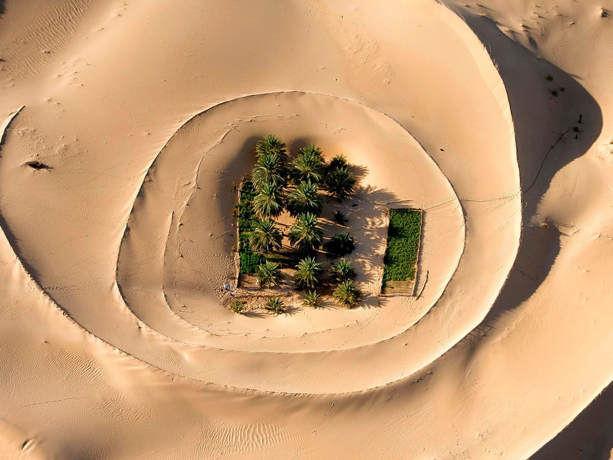 El Oued Oasis