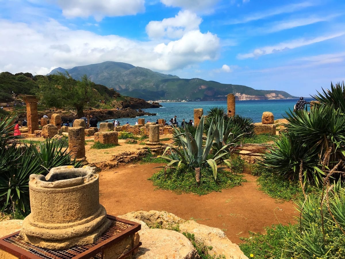 Algiers to Tipaza Coastal Journey - Image 2