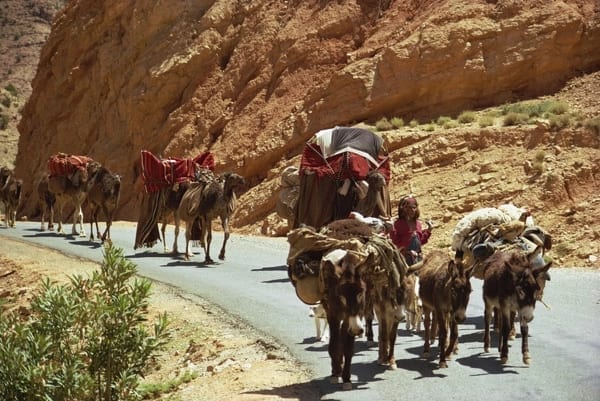 Atlas Mountains Trek - Image 2